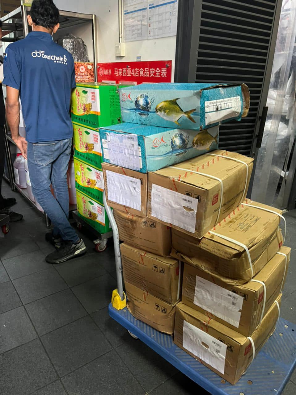 多伦多回国行李